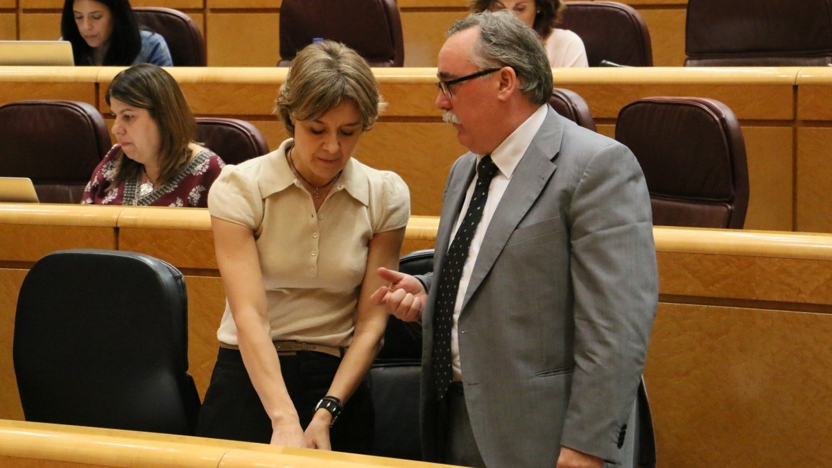 Cazalis reclama acciones para paliar los efectos medioambientales adversos de las toallitas higiénicas