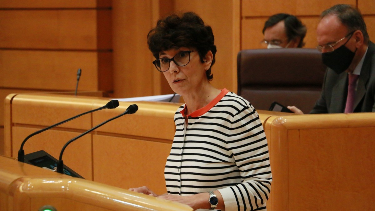 EAJ-PNVk Haurren Legea babestu du, Euskadiren eskumen-eremua babestea lortu ondoren