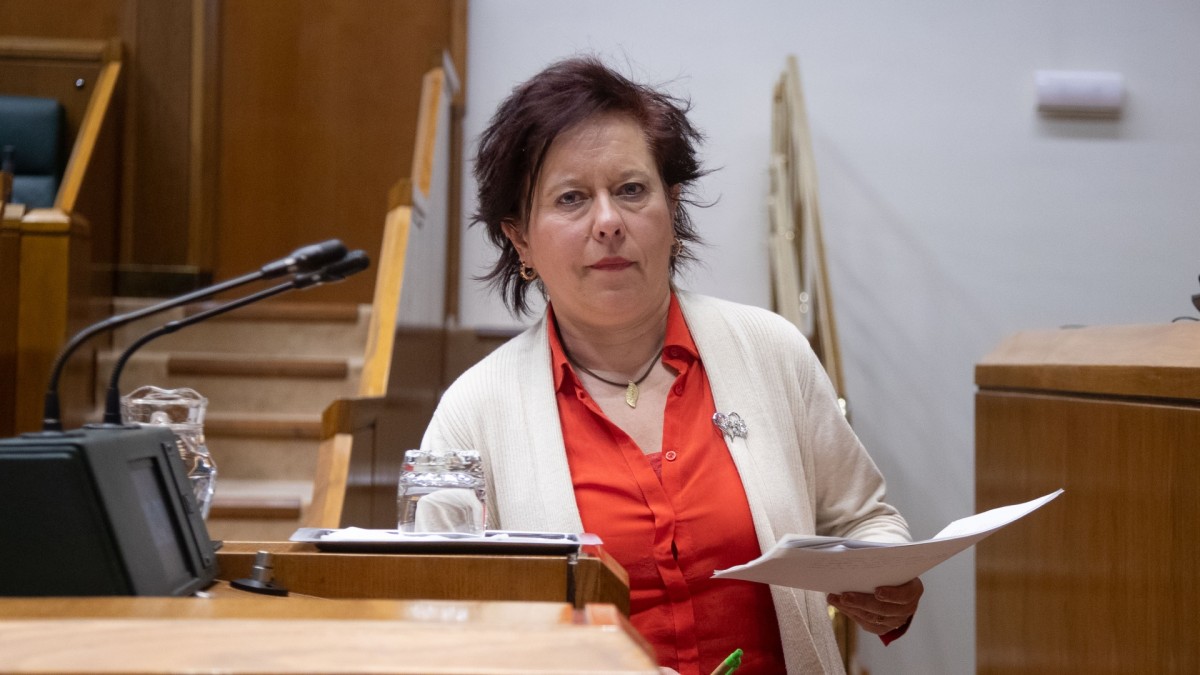 EAJ-PNVk osasun publikoarekiko eta kalitatezko arreta medikoarekiko konpromisoa berretsi du, medikuen gabeziari aurre egiteko estrategia eraginkorrak defendatuz
