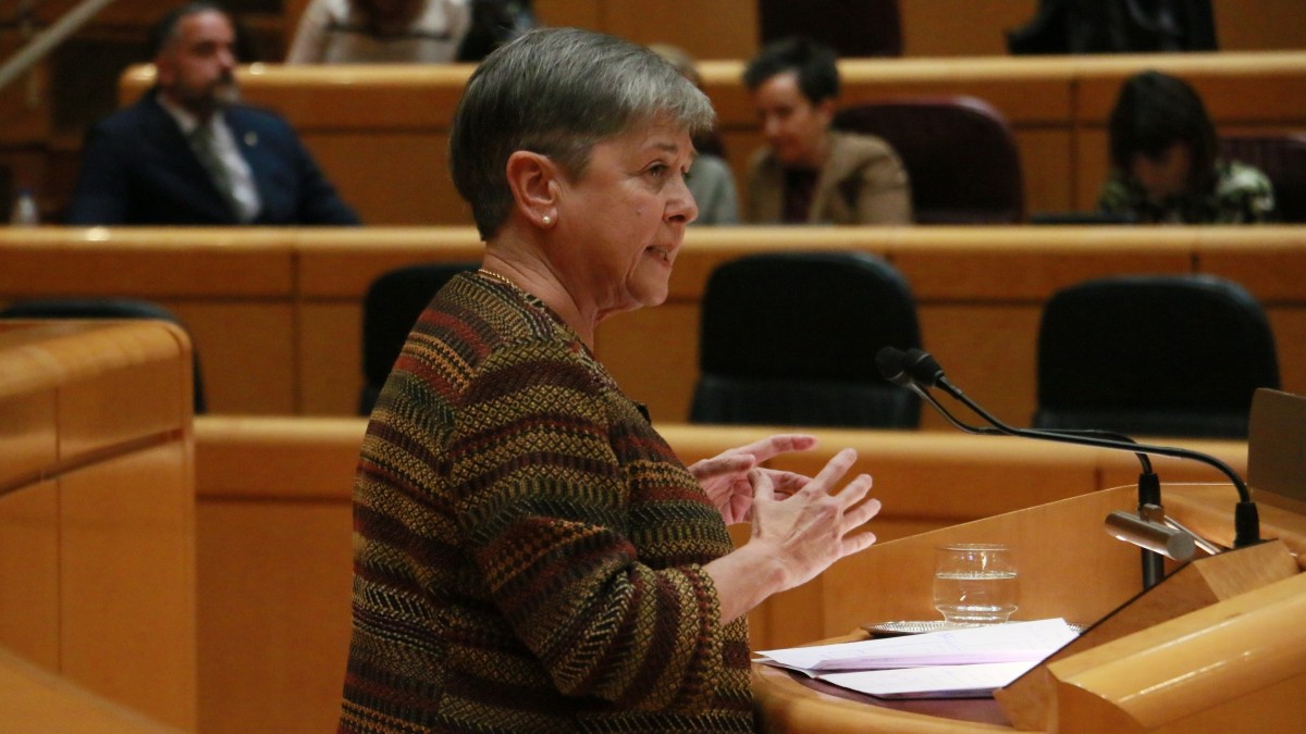 Nerea Ahedo apremia al ministro Bustinduy a buscar fórmulas que atiendan a las necesidades específicas de las familias numerosas