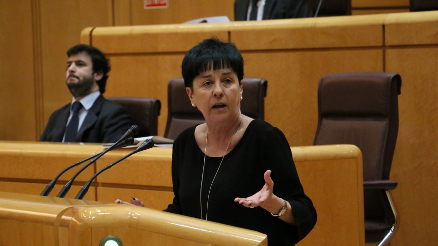 Ahedo considera “fuera de lugar y de época” que el PP apele a un supuesto ‘odio‘ que genera reivindicar el derecho a usar las lenguas cooficiales