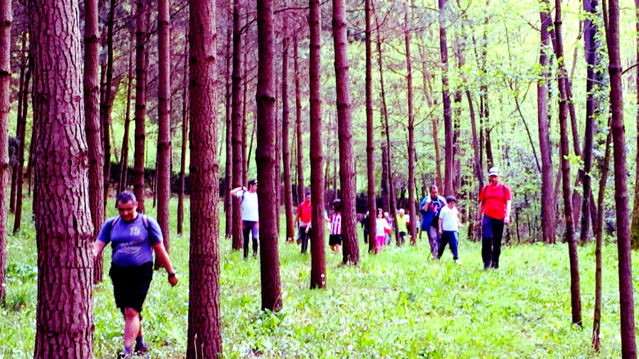 Larrondoko mendi martxa igandean ospatuko da 