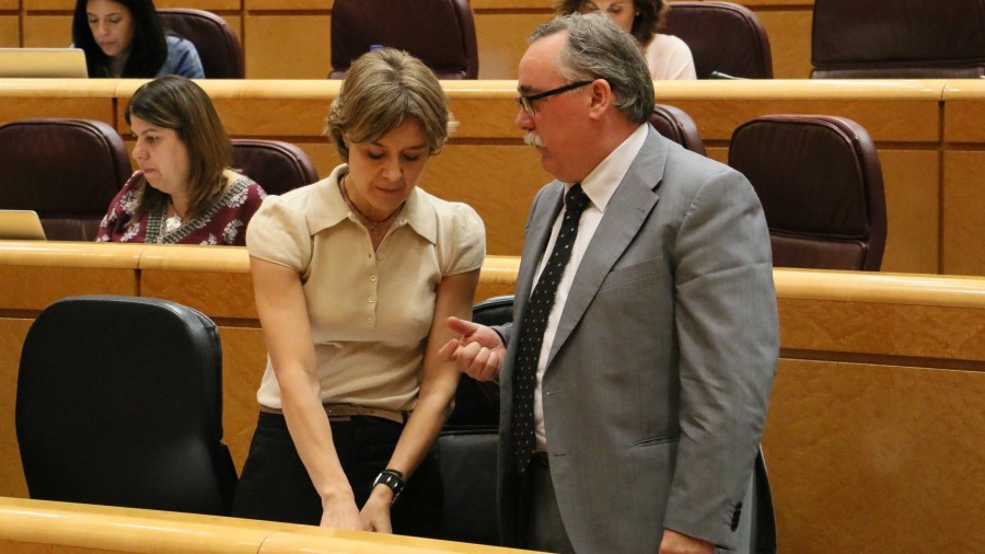 Cazalis reclama acciones para paliar los efectos medioambientales adversos de las toallitas higiénicas