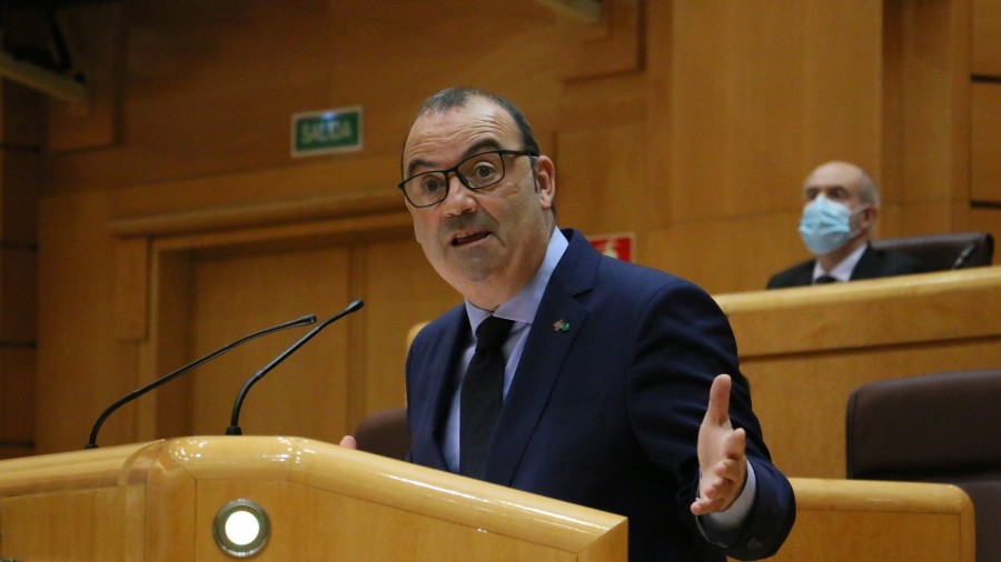 El Senado pide respetar el “autogobierno digital” de Euskadi