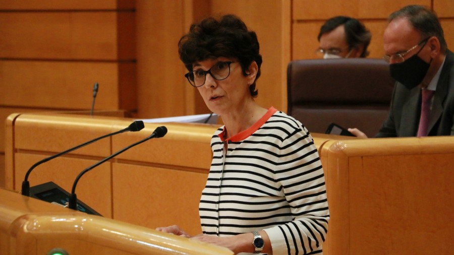 EAJ-PNV apoya la Ley de Infancia tras lograr introducir la salvaguarda del ámbito competencial de Euskadi