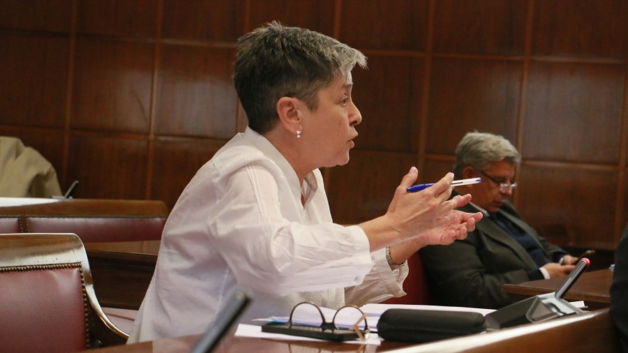 A iniciativa de EAJ-PNV, el Senado insta a ampliar hasta los 10 meses el periodo de contratación de expertos del sector productivo para impartir cursos de FP