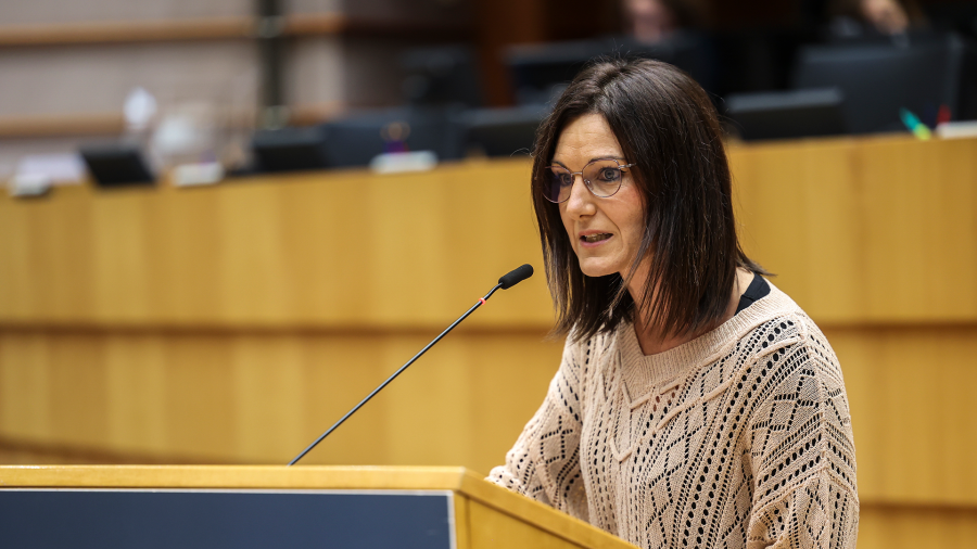 Agirregoitia impulsa el protocolo de pesca con Cabo Verde que ha aprobado el Parlamento Europeo y que beneficiará a atuneros vascos